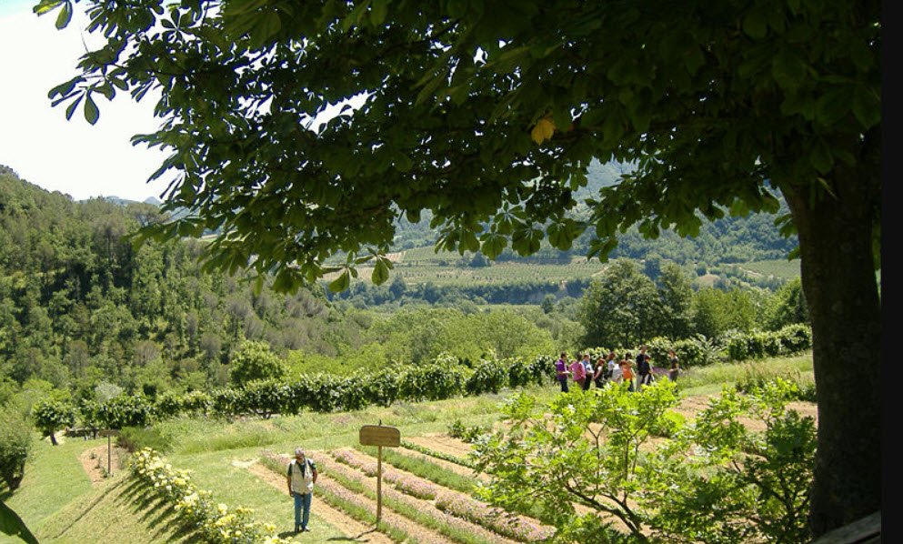 Giardino Delle Erbe Augusto Rinaldi Ceroni, Casola Valsenio (RA), Italy
